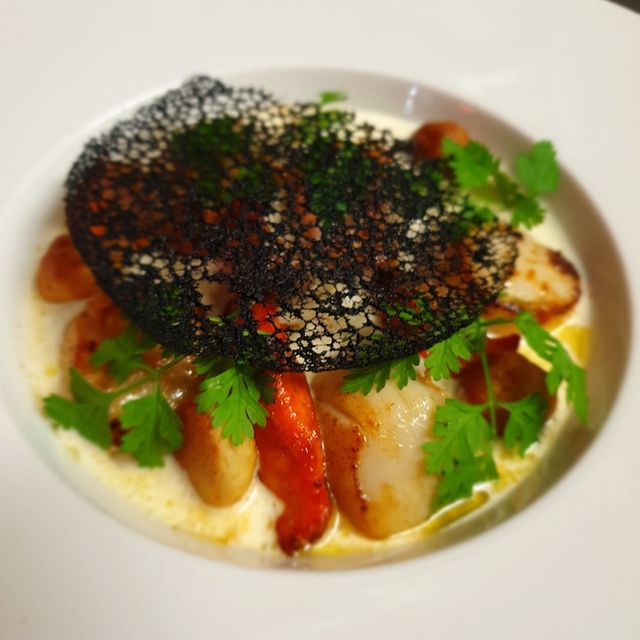 plat coloré appétissant