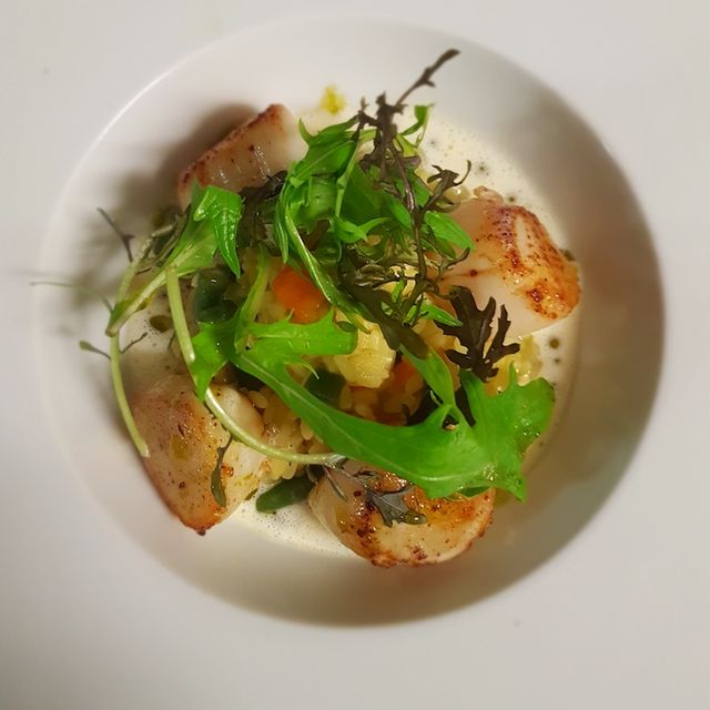 création coquilles saint-jacques